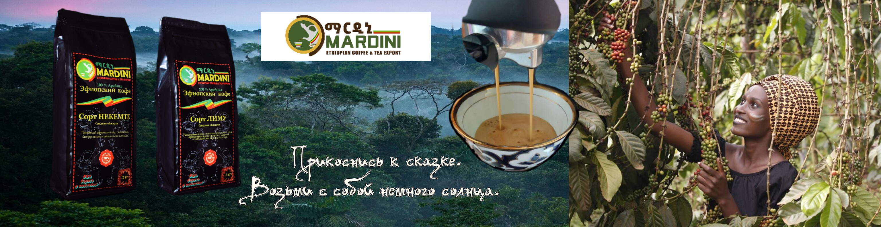 Mardini Coffee